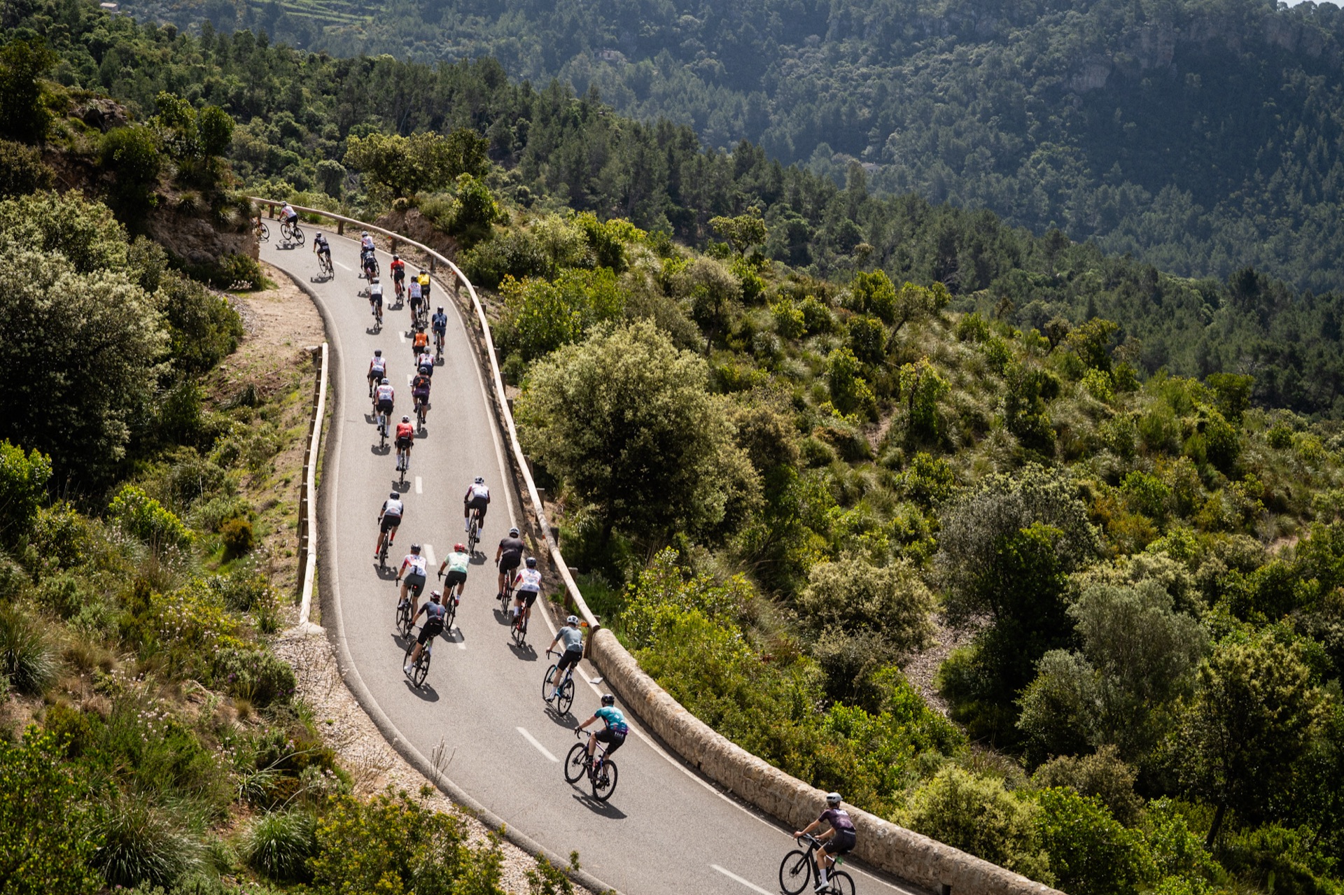 Mallorca 312