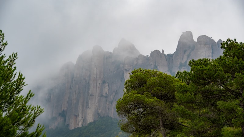 Navarra